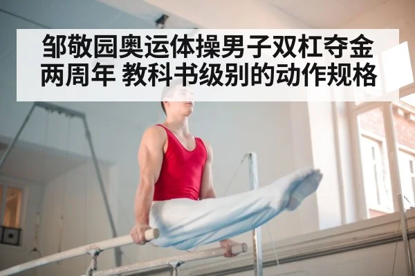 邹敬园奥运体操男子双杠夺金两周年 教科书级别的动作规格